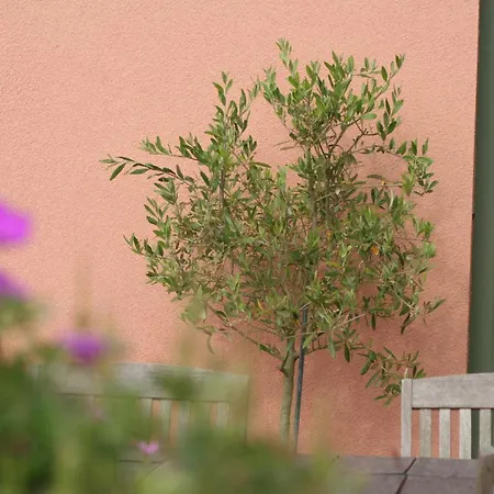 La Cle Du Sud Bed & Breakfast Merelbeke